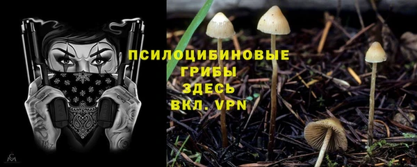 Альфа ПВП Баксан