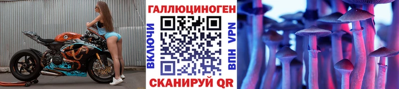 MEGA   Волосово  Галлюциногенные грибы Magic Shrooms 