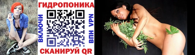 продажа наркотиков  площадка наркотические препараты  Марихуана Ganja  Волосово 